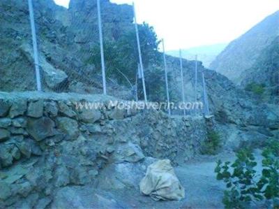 باغی در بالای بام