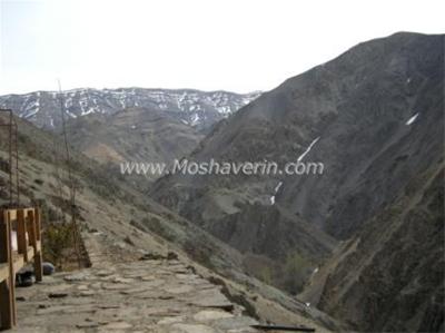 باغی در بالای بام